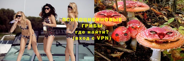 spice Алексеевка